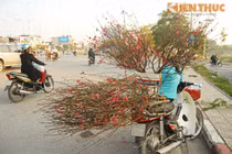 Đào Nhật Tân giá chát bất ngờ bán sớm