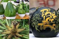 Những trái cây độc ngày Tết cực bắt mắt