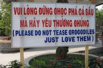 Té ghế những quảng cáo độc dị khác người ở Việt Nam