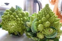 Soi bông cải san hô khiến bà nội trợ sốt xình xịch