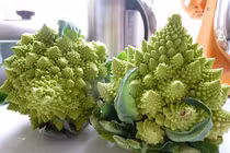 Soi bông cải san hô khiến bà nội trợ sốt xình xịch