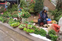 Đi chợ phiên độc, dị giá bèo nhất Hà Nội