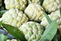 Na Nữ Hoàng trái khủng, một người ăn không hết