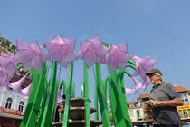 Tháo dỡ đài hoa lạ gây tranh cãi ở Hà Nội