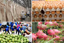 Điệp khúc giải cứu nông sản khi nào chấm dứt?