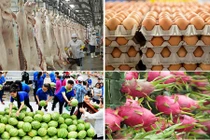 Điệp khúc giải cứu nông sản khi nào chấm dứt?