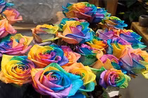 Hàng hiệu ào ạt khuyến mãi khủng nhân dịp 20/10