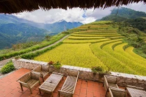 Homestay đi vài bước chân có nghìn ảnh check-in với đồng lúa chín