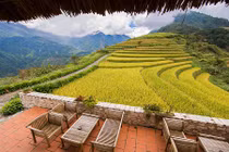 Homestay đi vài bước chân có nghìn ảnh check-in với đồng lúa chín