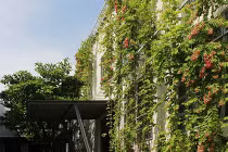 Nhà máy dệt bằng tre có 1-0-2 ở Việt Nam