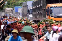 Cảnh ùn tắc, chen chúc ở chợ vải thiều lớn nhất Việt Nam 