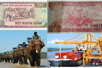 Hình ảnh thực những chi tiết in trên đồng tiền Việt Nam