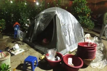 Xem cảnh căng lều, ngủ đêm trên hè trông hàng Tết