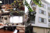 Đọ nhà đẹp của dàn hot girl Việt đình đám