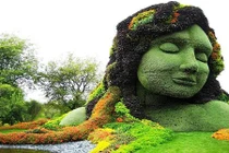 Ngắm vườn bách thảo đẹp nhất thế giới