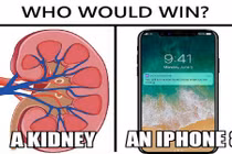 iPhone 8 ra mắt, dân mạng rủ nhau... "bán thận" kiếm tiền