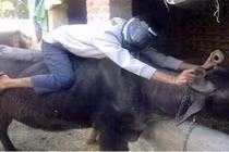 Vui hết nấc với loạt ảnh giao thông độc đáo ở Việt Nam