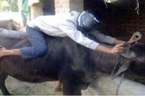 Vui hết nấc với loạt ảnh giao thông độc đáo ở Việt Nam