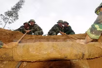 Phát hiện 150 quả đạn, pháo nguyên kíp nổ ở Quảng Trị