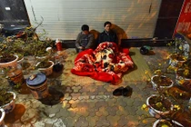 Ảnh: Thức trắng trông đào, quất bạc tỷ trong đêm lạnh 14 độ