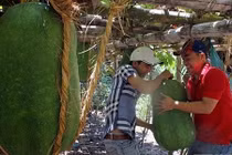 Thâm nhập 5 ngôi làng kỳ lạ ở Việt Nam