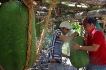 Thâm nhập 5 ngôi làng kỳ lạ ở Việt Nam