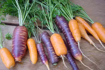 Cà rốt tím, đen hàng hiếm sốt xình xịch