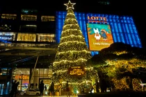 Chiêm ngưỡng những cây thông Noel đẹp độc lạ ở Hà Nội