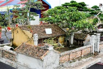 Điều bất ngờ về tiểu cảnh nhà ba gian đang gây “sốt“