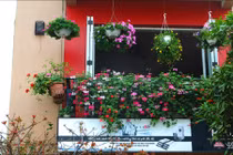 Ngắm những ban công nhà rực rỡ sắc hoa ở Hà Nội