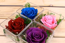 300.000 đồng nên mua hoa gì tặng người yêu ngày Valentine? 