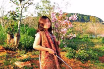 Kỷ luật Đảng đối với Phó giám đốc Sở bẻ hoa anh đào