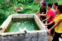 Điểm nóng 24h: Lặng người vụ 2 bé trai đuối nước trong bể 