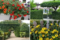 Ngắm cổng nhà độc lạ chỉ có ở miền Tây