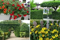 Ngắm cổng nhà độc lạ chỉ có ở miền Tây