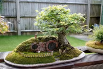 Mãn nhãn ngắm tiểu cảnh bonsai siêu lạ