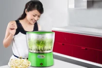 Những hiểu lầm tai hại khi dùng máy trồng rau mầm