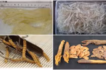 Bi hài nhà giàu Việt chi đống tiền mua đồ tẩm bổ giả