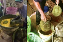 Cách chuẩn để nhận biết sầu riêng nhúng thuốc