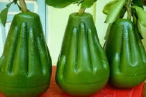 Bưởi hình Phật ở HN: Khách được mua tối đa 3 quả