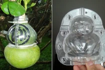 Khuôn nắn trái cây hình độc lạ sốt xình xịch đón Tết