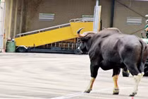 Những sự cố máy bay hi hữu ở Việt Nam 