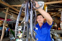 Khám phá loạt chợ miền Tây nổi tiếng kinh dị