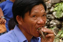 Dị nhân Việt và những món ăn cực “độc“