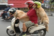 Cười ngất với kiểu đi đường “lầy lội” trên từng cây số ở VN