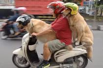 Cười ngất với kiểu đi đường “lầy lội” trên từng cây số ở VN