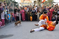 Cười bể bụng với trò bịt mắt bắt lợn ở hội làng Hà Nội