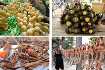 Mê mẩn khám phá đặc sản miền Tây “đẻ” ra tiền