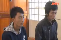 Đang vi vu hai anh em băng cướp bị tóm gọn