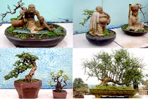 Tận mục vườn cảnh tiền tỷ độc lạ giữa Hà Nội 